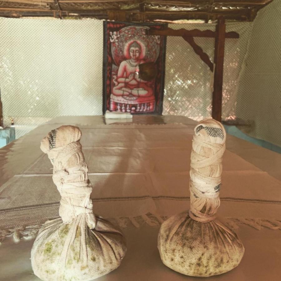 Green Garden Ayurvedic Resort & Green House Varkala Luaran gambar