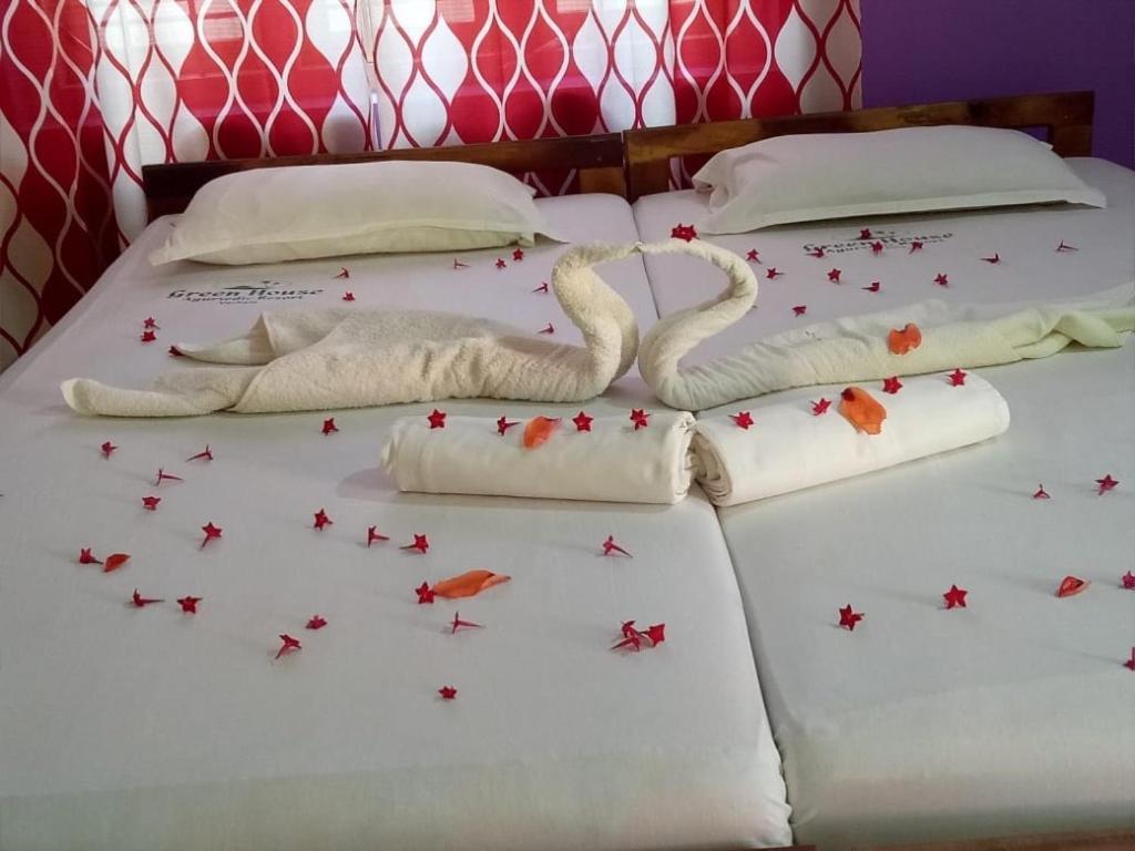 Green Garden Ayurvedic Resort & Green House Varkala Luaran gambar