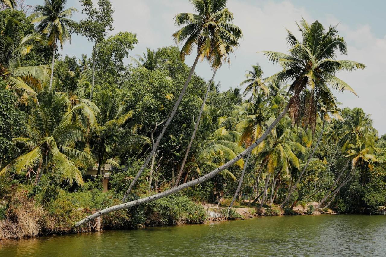 Green Garden Ayurvedic Resort & Green House Varkala Luaran gambar