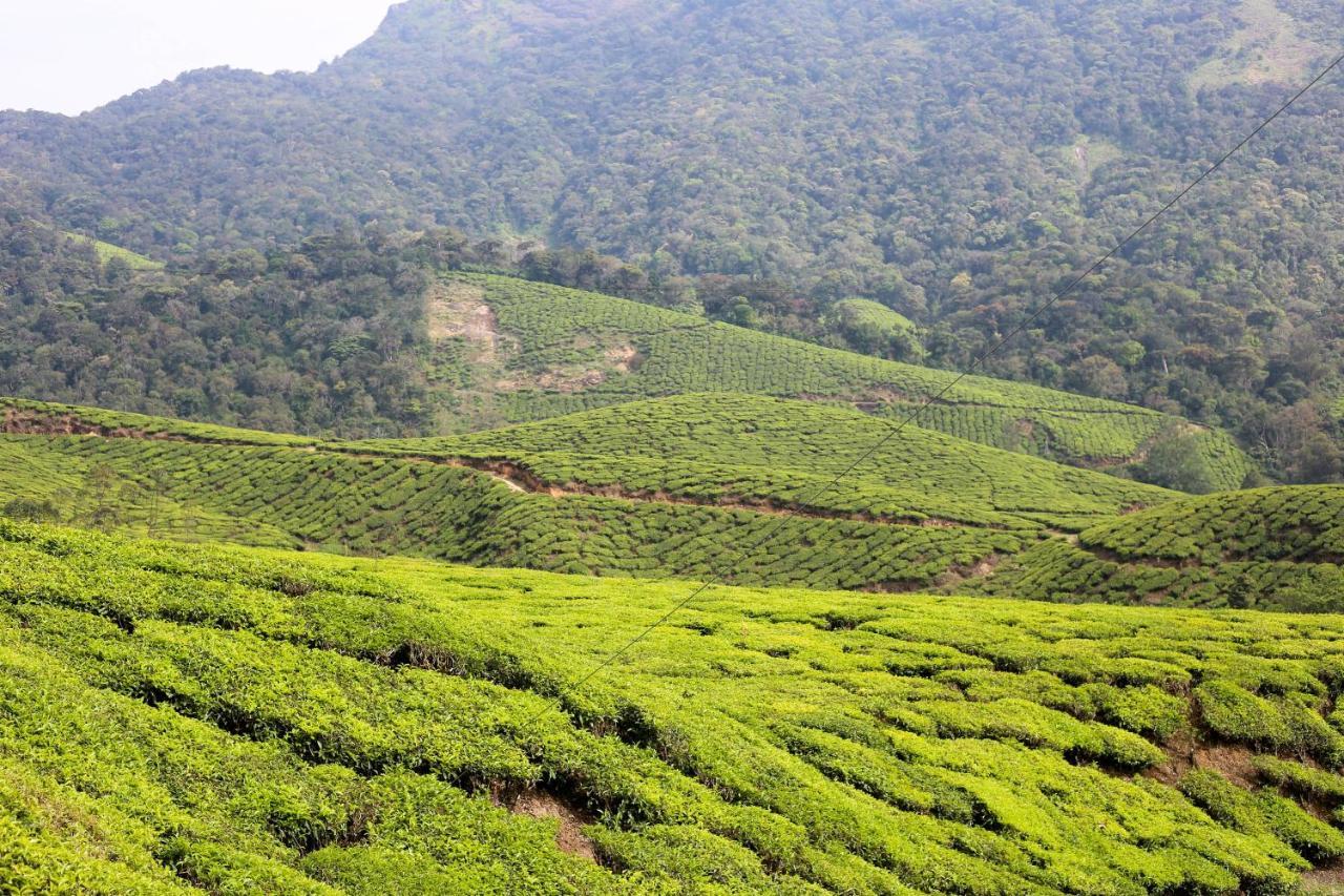 Green Garden Ayurvedic Resort & Green House Varkala Luaran gambar