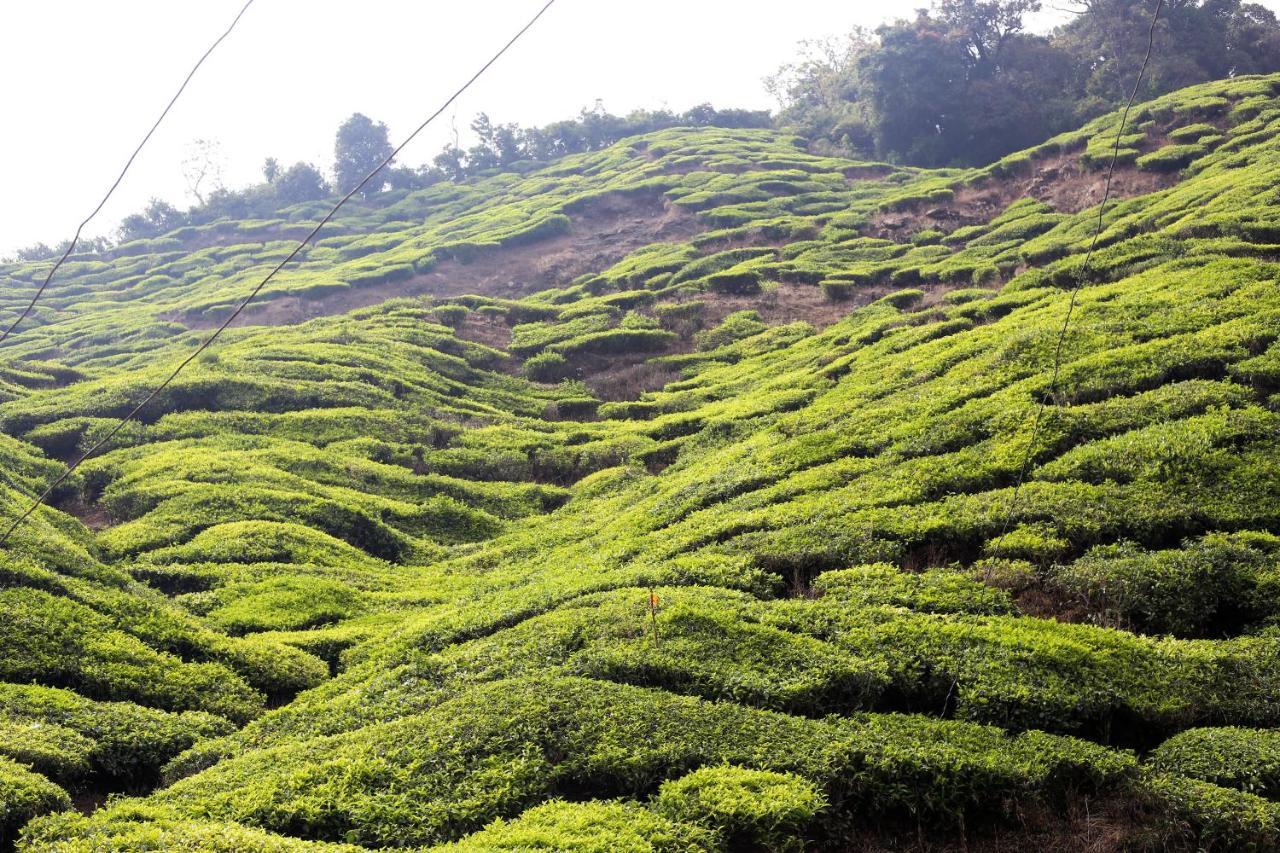 Green Garden Ayurvedic Resort & Green House Varkala Luaran gambar